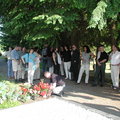 PIC00029