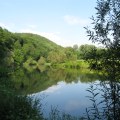 IMG_5921